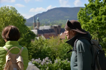 Klosterwanderweg - Blick vom Georgenberg bei Goslar