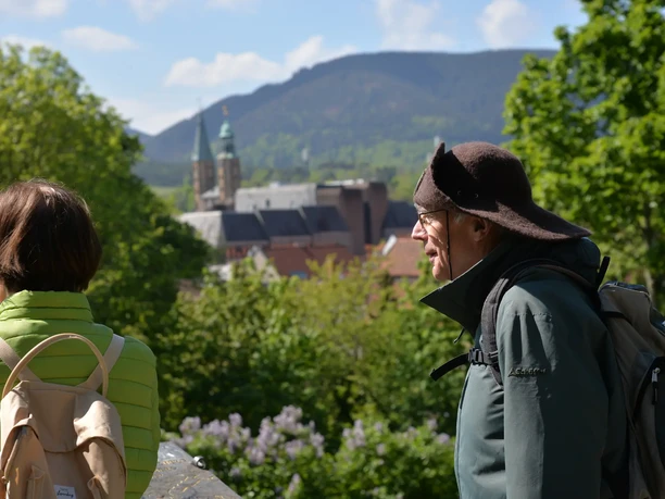 Klosterwanderweg - Blick vom Georgenberg bei Goslar