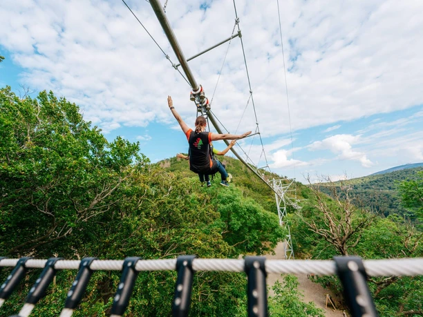 BaumSchwebeBahn Harz