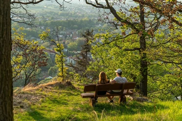 Blick auf Bad Harzburg