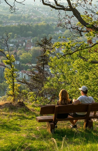 Blick auf Bad Harzburg