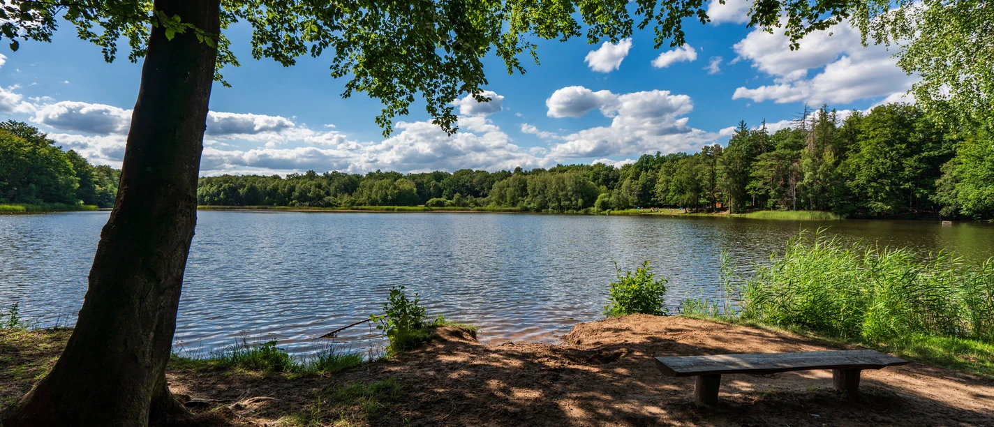 Der Priorteich in Walkenried