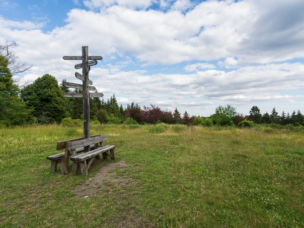 Blick vom Stöberhai