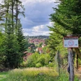Rundweg Harzer-Höhenvieh Pfad in Tanne