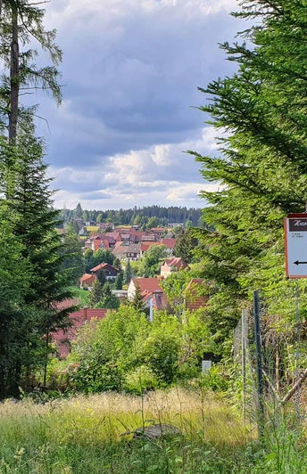 Rundweg Harzer-Höhenvieh Pfad in Tanne