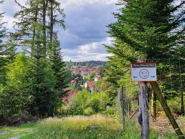 Circular route Harzer-Höhenvieh Trail in Tanne