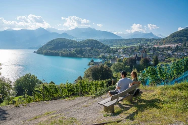 Aussicht Spiez Rebberg Buch Thunersee