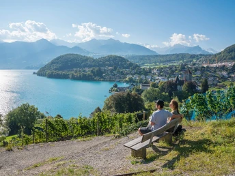 View Spiez Rebberg Buch Lake Thun