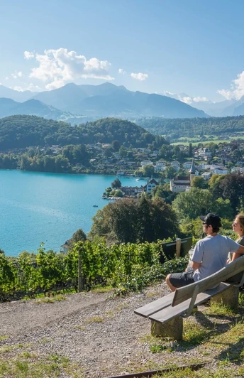 Aussicht Spiez Rebberg Buch Thunersee