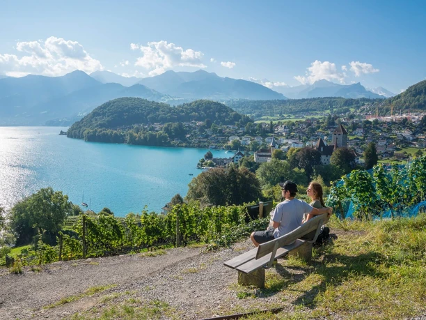 Aussicht Spiez Rebberg Buch Thunersee