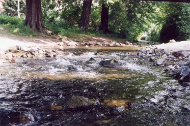 Der Fischaufstieg Z6 nach dem Umbau.