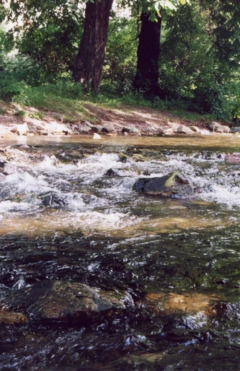 Der Fischaufstieg Z6 nach dem Umbau.