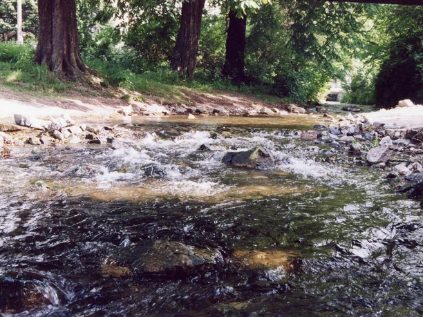 Der Fischaufstieg Z6 nach dem Umbau.