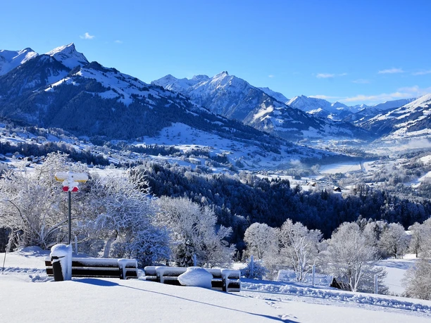 Aeschiallmi mit Blick Richtung Frutigland