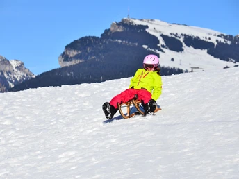 Schlittelweg mit Niederhorn im Hintergrund