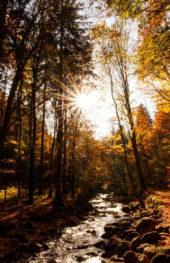 Heinrich-Heine-Weg im Ilsetal