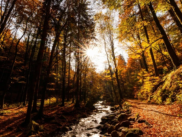 Heinrich-Heine-Weg im Ilsetal