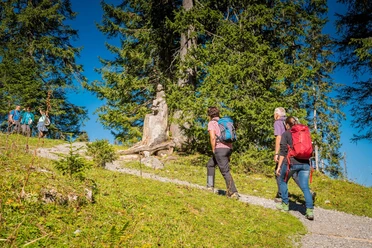 Wanderer auf dem Schnitzlerweg Axalp