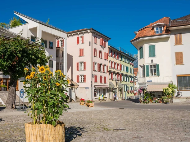 stadthausplatz-unterseen-fruehling-sommer-sonnenblumen-altstadt.jpg