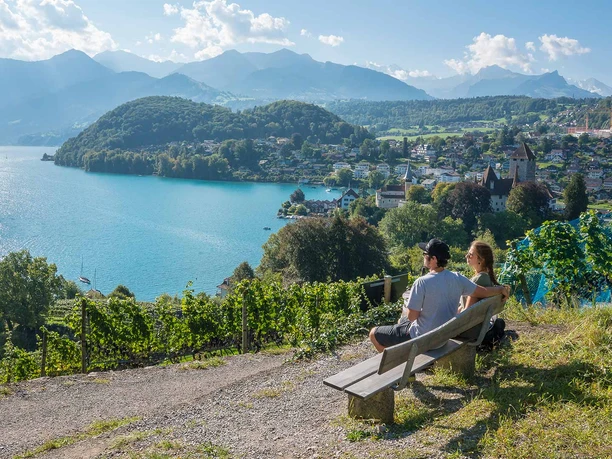 Aussichtsbänkli beim Rebberg