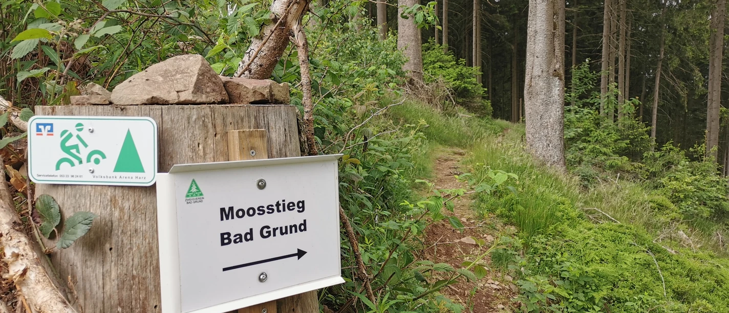 Der Moosstieg bei Bad Grund