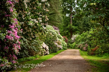 Rhododendronpark Hobbie