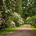 Rhododendronpark Hobbie