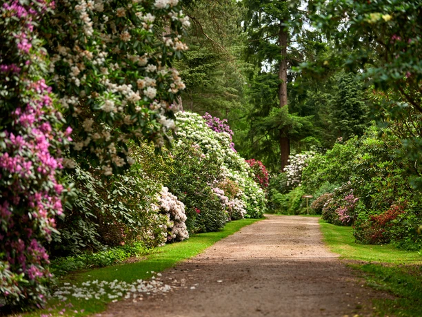 Rhododendronpark Hobbie