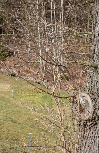 Hinweisschilder | Neuer Teich