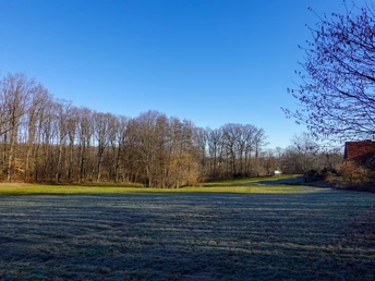 Elfenwiese am Morgen