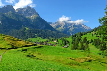 Beautiful Saanenland.