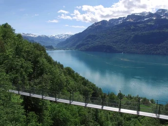 Suspension bridge Underweidligraben above Ebligen - View towards Brienz & Axalp