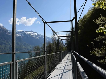 Suspension bridge Underweidligraben above Ebligen, between Oberreied and Brienz
