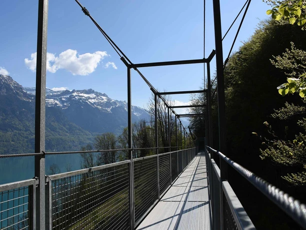 Hängebruecke Underweidligraben ob Ebligen, zwischen Oberreied und Brienz