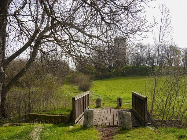 Blick vom Bicklingsbach zur Bicklingswarte