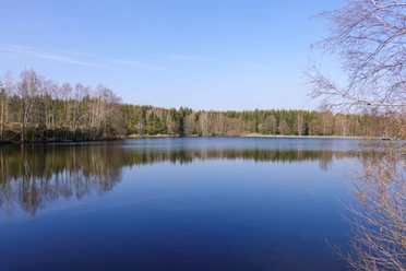Neuer Teich