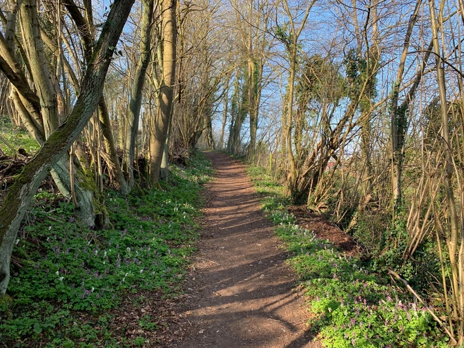 Lamspringer Wanderweg