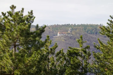 Blick vom Rumberg zur Ruine Lauenburg