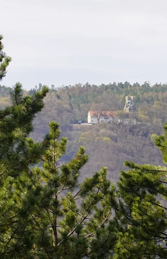Blick vom Rumberg zur Ruine Lauenburg