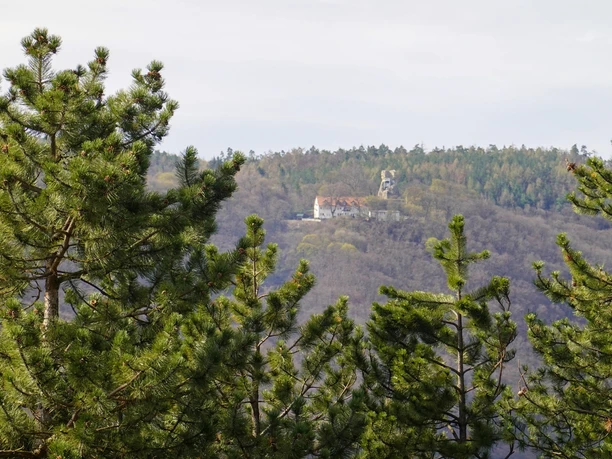 Blick vom Rumberg zur Ruine Lauenburg