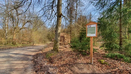 Forstthematischer Wanderweg am Ortsrand von Elbingerode