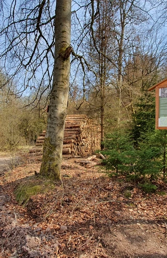 Forstthematischer Wanderweg am Ortsrand von Elbingerode