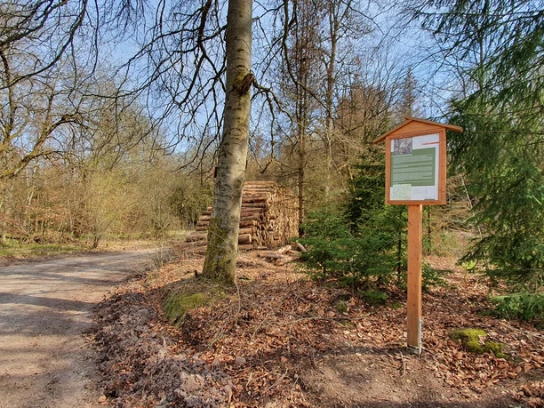 Forstthematischer Wanderweg am Ortsrand von Elbingerode