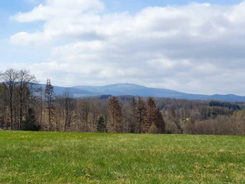 Forstthematischer Wanderweg am Ortsrand von Elbingerode - Brockenblick