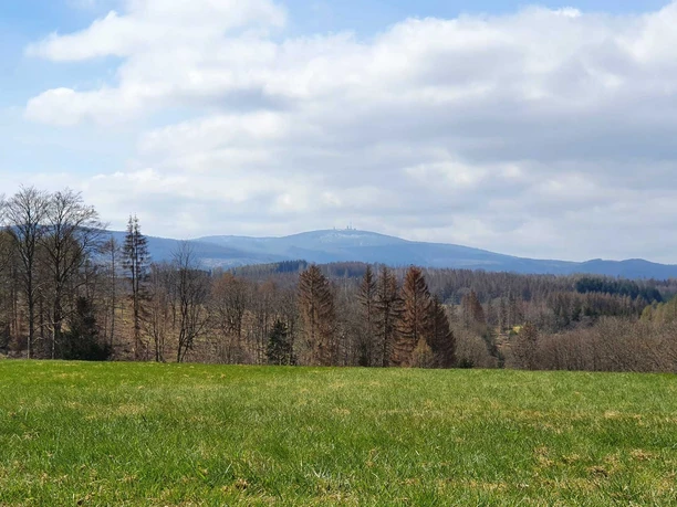 Forstthematischer Wanderweg am Ortsrand von Elbingerode - Brockenblick