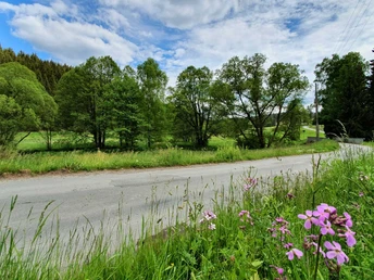 Rundwanderweg Dammbachtal