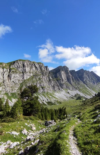 Der Blick zurück aufs Alpetli