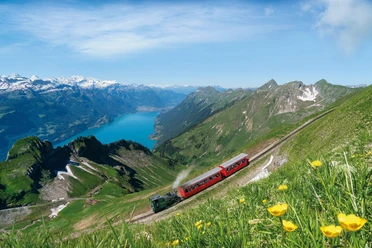 Dampflokomotive und Wagen unterwegs ins Tal unterhalb Brienzer Rothorn