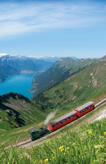 Dampflokomotive und Wagen unterwegs ins Tal unterhalb Brienzer Rothorn