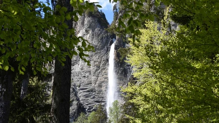 Sicht auf den Milibachfall aus dem Wald vor Gäldried